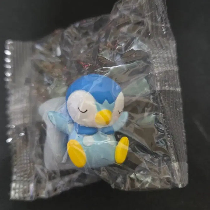 [BUNJANG] Pokemon Monster Ball Piplup (Sealed) / 포켓몬 몬스터볼 팽도리 (미개봉)