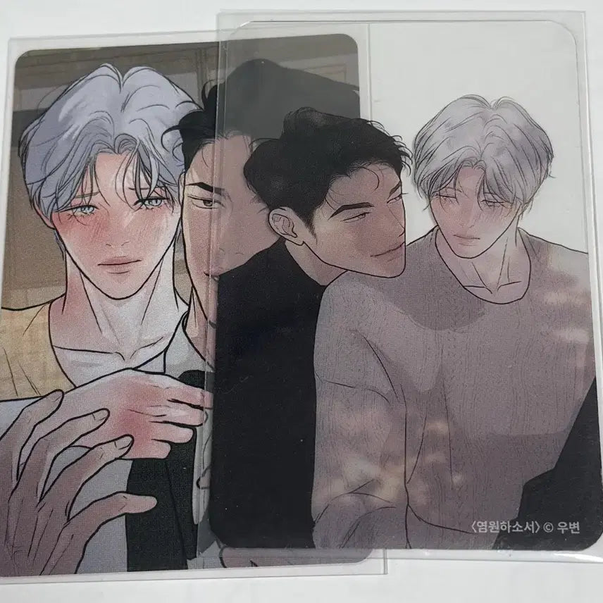 [BUNJANG] Bomtoon Collection Photocard Bundle Set / 봄툰도감 포토카드 양도