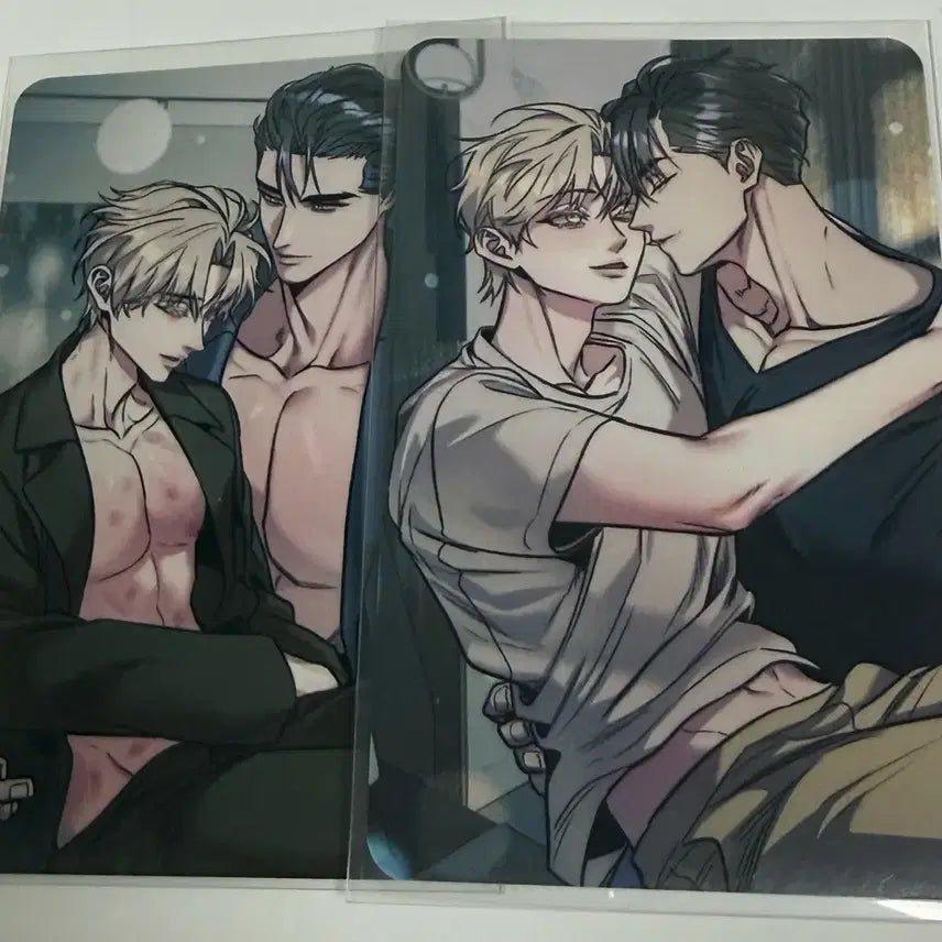 [BUNJANG] Bomtoon Do-Gam Photocard Bundle Set / 봄툰도감 포토카드 양도