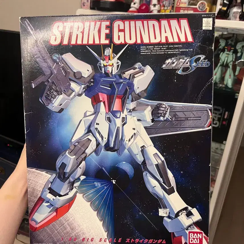[BUNJANG] 1/60 Real Grade Strike Gundam (PG Size Scale Model Kit) / 1/60 리얼 디테일 스트라이크 건담 (PG급 사이즈 프라모델)