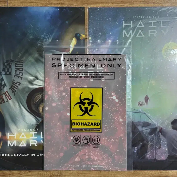 [BUNJANG] Project Hail Mary Poster Set / [최상품] 프로젝트 헤일메리 포스터 세트
