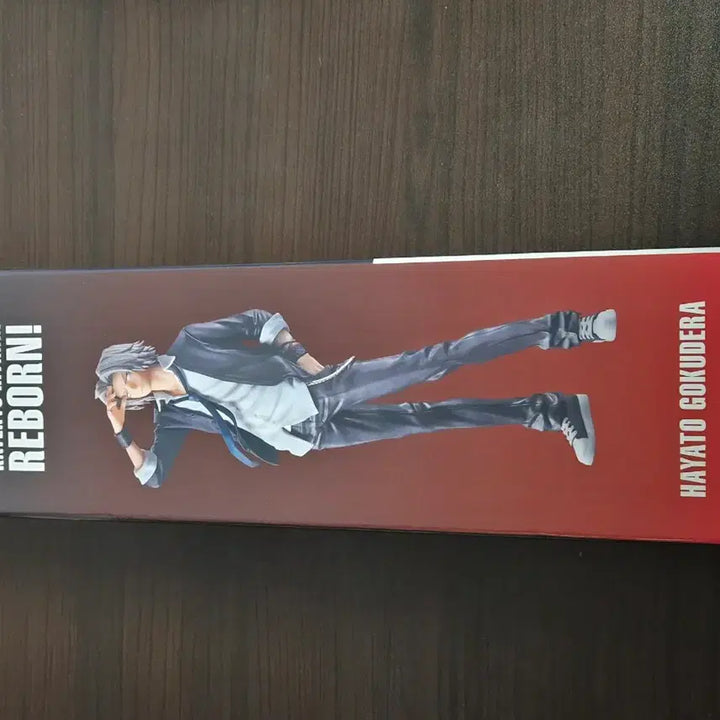 [BUNJANG] Reborn! Hayato Gokudera Masterpiece Figure / 가히리 B상 마스터라이즈 고쿠데라 하야토 피규어