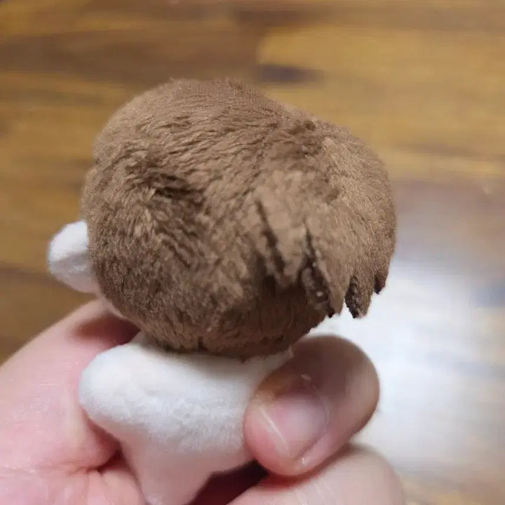 [BUNJANG] Hwasan Returns Jongnam Jongseohan 5cm Plush Doll / 화산귀환 종남 종서한 5cm 인형