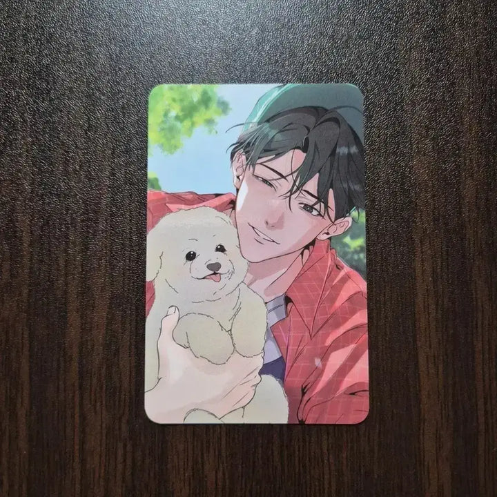 [BUNJANG] Mble Company Jeonlipseong Hamrakbogojeon Hambo 50K Special Edition Photocard / 전립선 함락보고서 전함보 미블 컴퍼니 5만 특전 포카 5특
