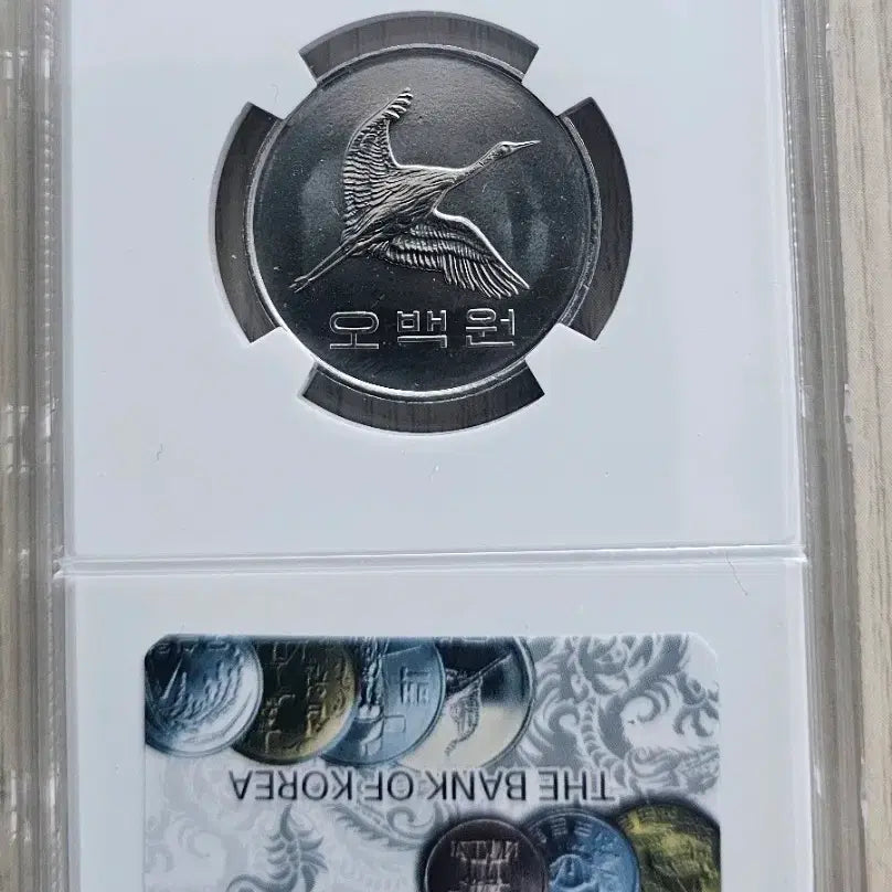 [BUNJANG] 2024 South Korean Coin Set (500 Won &amp; 10 Won Rolls) / 한국의 주화 2024년 500원 , 10원 롤 2종 일괄