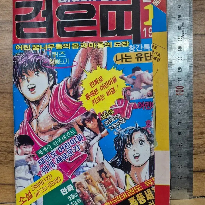 [BUNJANG] Black Belt Magazine January 1990 Issue / 블랙벨트 1990년 1월호 만화 잡지