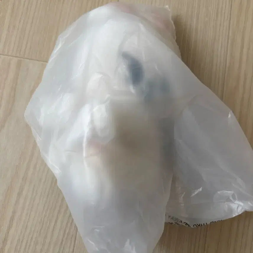 [BUNJANG] Stray Kids Lee Know Ribbit Strap Plush / 스트레이키즈 스키즈 스키주 리빗 리노 스트랩 플러시