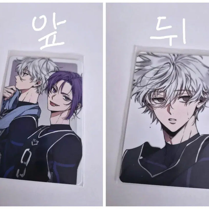 [BUNJANG] Blue Lock Unofficial Merchandise Set (Illustration Postcards, Stickers, Photocards) / 블루록 비공식 굿즈 (일러스트 엽서, 스티커, 포카)