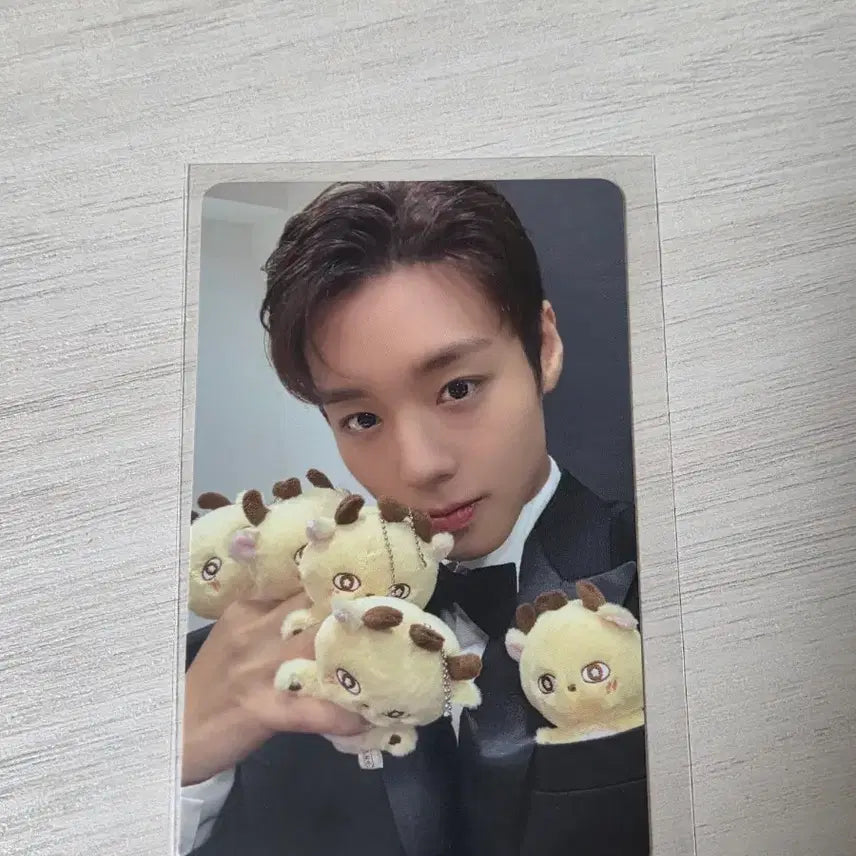 [BUNJANG] Park Jihoon Fanmeeting Soshimi Photocard / 박지훈 팬미팅 소심이 포카