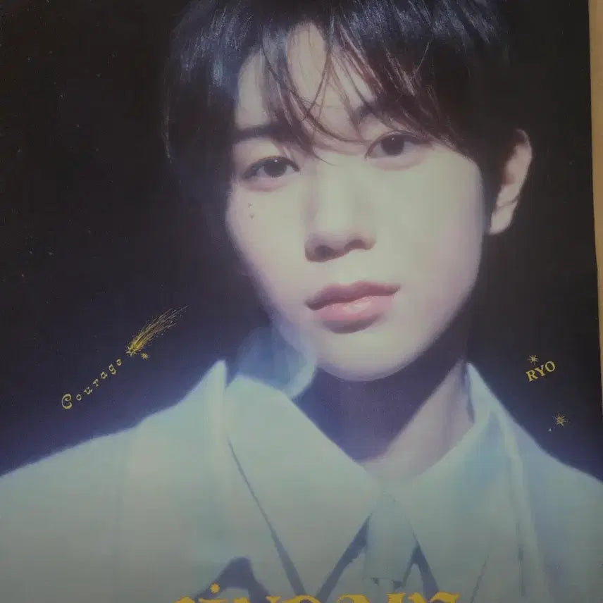 [BUNJANG] MEGA COFFEE Ryo Poster / MEGA COFFEE 류 포스터