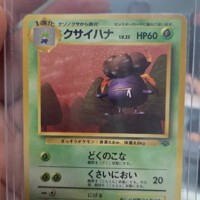 [BUNJANG] Pokemon Card Kusaihana (Scented Flower) / 포켓몬카드 냄새꽃