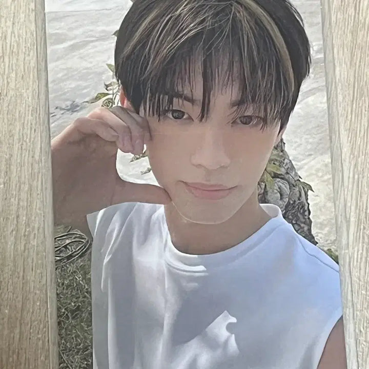 [BUNJANG] TWS Dohyun Summer Beat Photocard Bundle Set / 투어스 도훈 summer beat