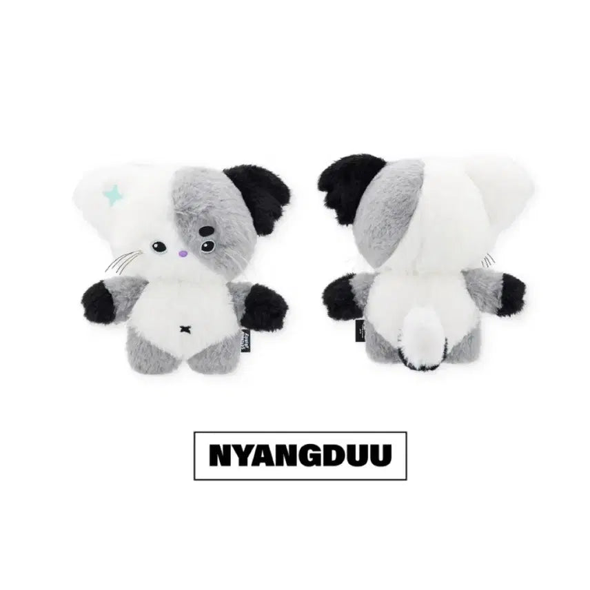 [BUNJANG] X1Z (X1Dictionary) Jeongsu Nyaangdu Unsealed Photocard / 엑디즈 정수 냥듀 개봉 양도