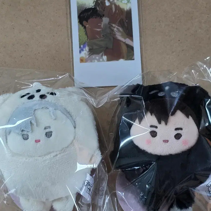 [BUNJANG] Noctua Poriz Keyring Fashion / 녹티아 인형 포리즈 키링 패션 일태 헤더 폴라