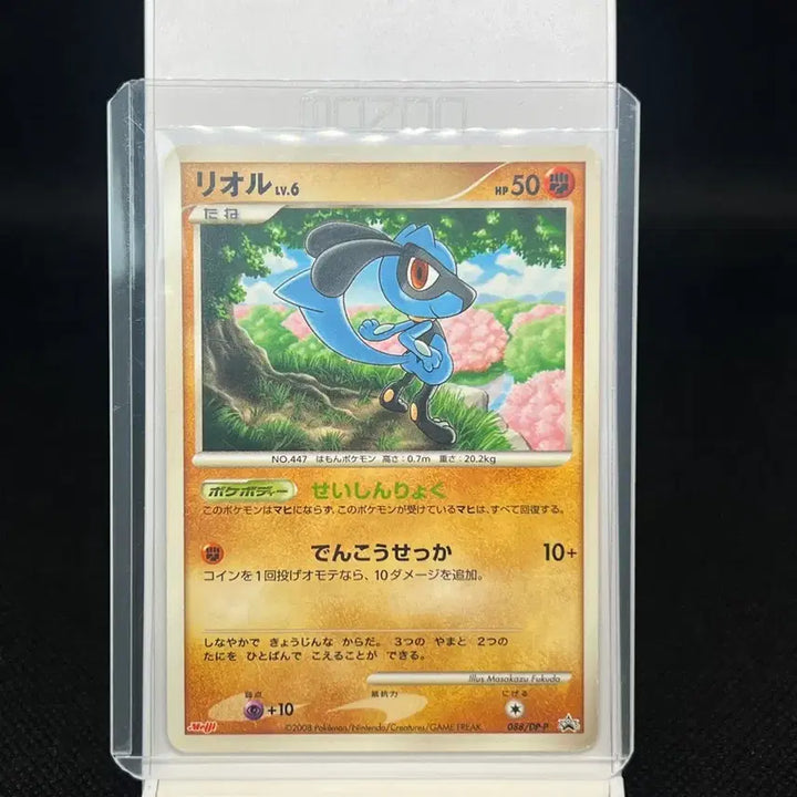 [BUNJANG] Pokemon Card Lior Mage Promo / 포켓몬 카드 리오르 메이지 프로모