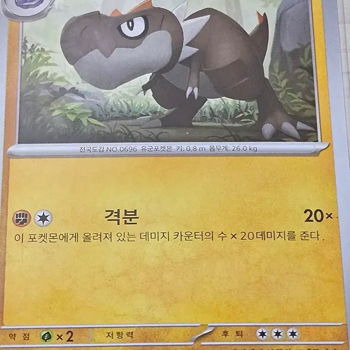 [BUNJANG] Pokemon Card Tigoras (043/080 C) / 포켓몬카드 티고라스 043/080 C