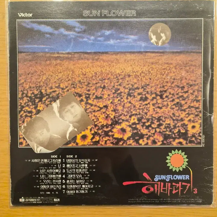 [BUNJANG] Sunflower LP / 해바라기 lp