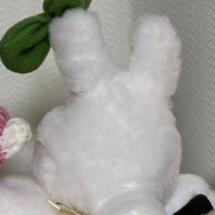[BUNJANG] Sototoro Plush / 소토토로 인형