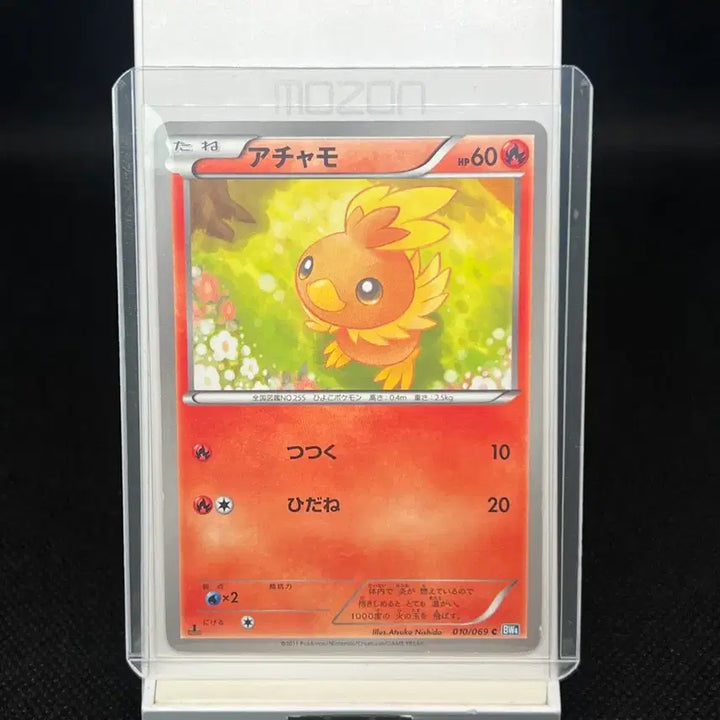 [BUNJANG] Pokemon Card Torchic Japanese BW 1st Edition / 포켓몬 카드 아차모 일판 BW 1st edition