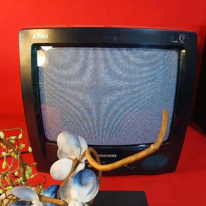 [BUNJANG] Daewoo NudooTV Television / 2000,02월 대우 누두TV