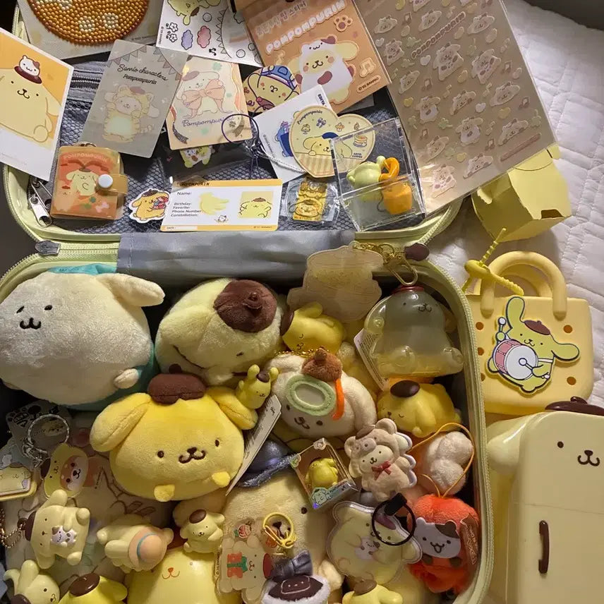[BUNJANG] Pompompurin Bundle Set / 폼폼푸린 굿즈 일괄