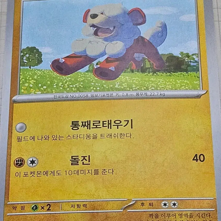 [BUNJANG] Hisuian Typhlosion 041/066 C / 포켓몬카드 히스이 가디 041/066 C