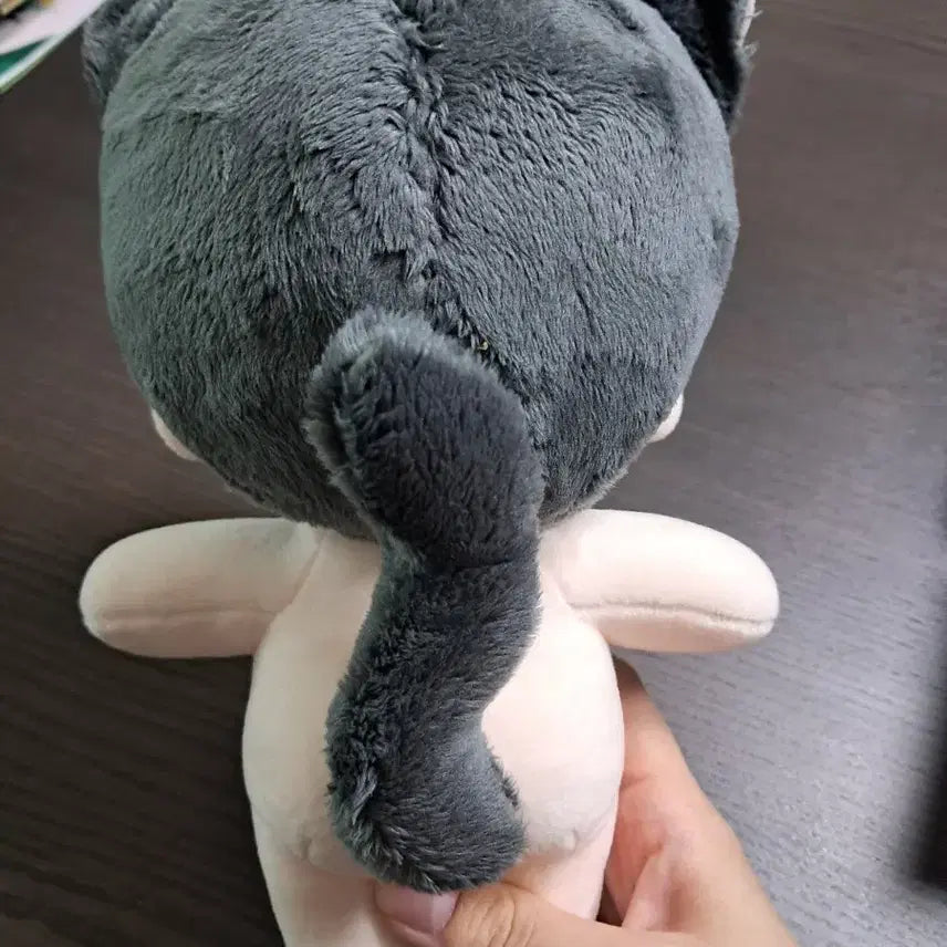 [BUNJANG] Ensemble Stars! Sakuma Rei Plush Doll / 앙상블 스타즈 앙스타 사쿠마 리츠 솜인형 누이 판매합니다!
