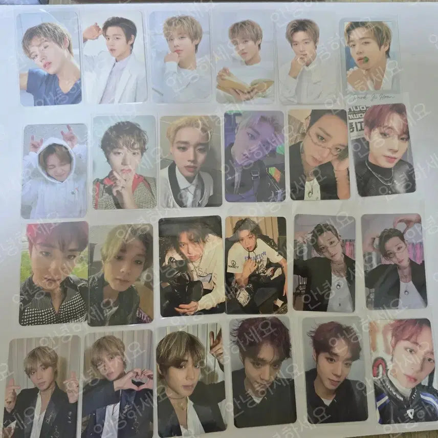 [BUNJANG] Park Ji Hoon Bundle Set Photocard / 박지훈 포카 일괄 양도 합니다