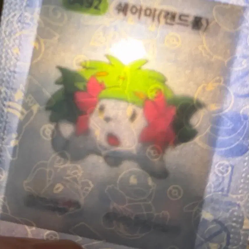 [BUNJANG] Pokemon &