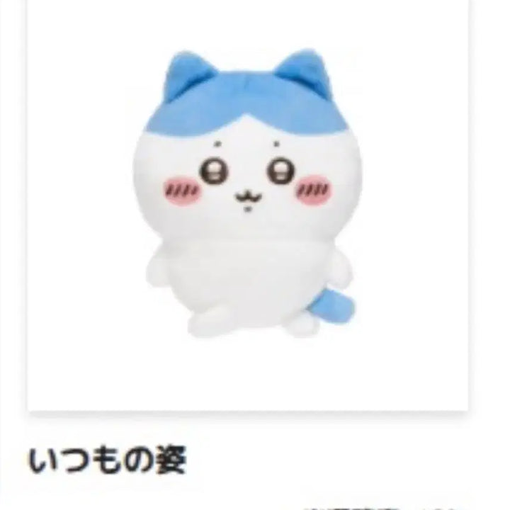 [BUNJANG] Hachiwara Ichiban Kuji E Prize &