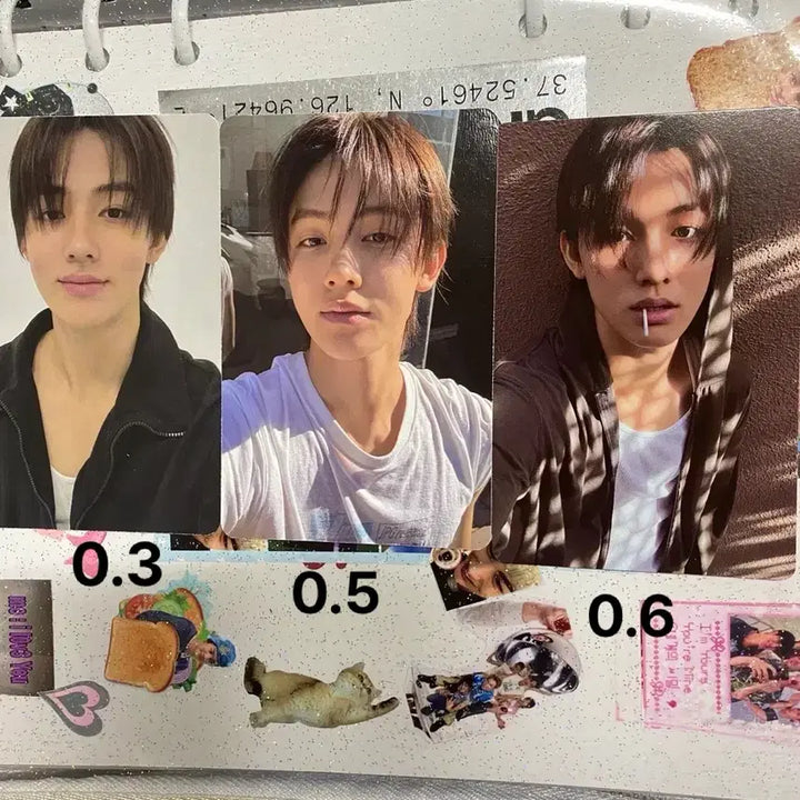 [BUNJANG] Cortiz SungHyun Photocard / 코르티스 성현 그린그린 GREENGREEN 포카