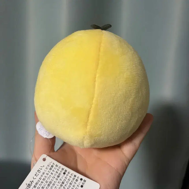 [BUNJANG] Kiiroitori Flower Plush / 산엑스 키이로이토이 꽃인형