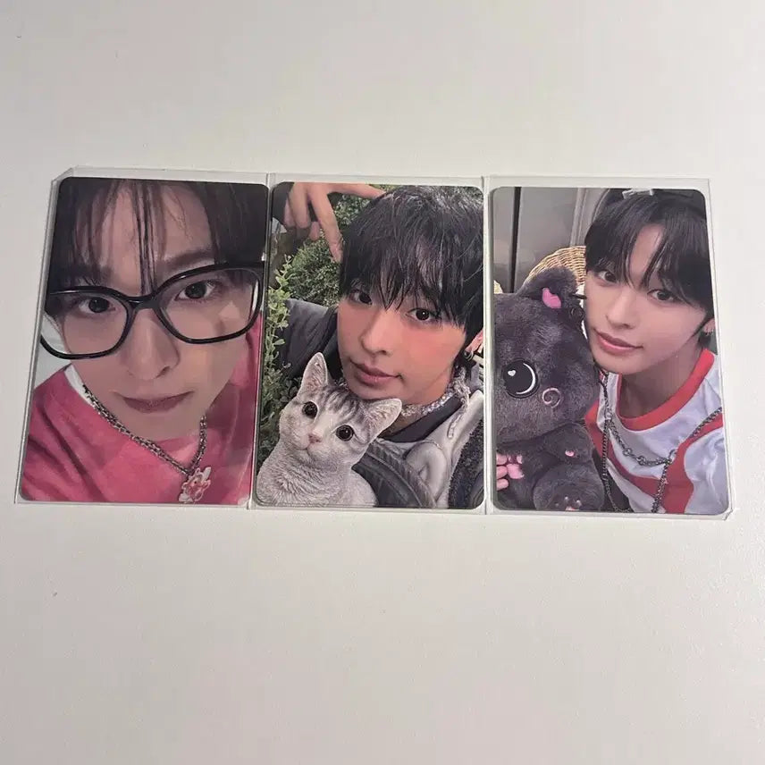 [BUNJANG] NCT WISH Riku Photocard Bundle Set / 엔시티 위시 리쿠 포카 일괄판매