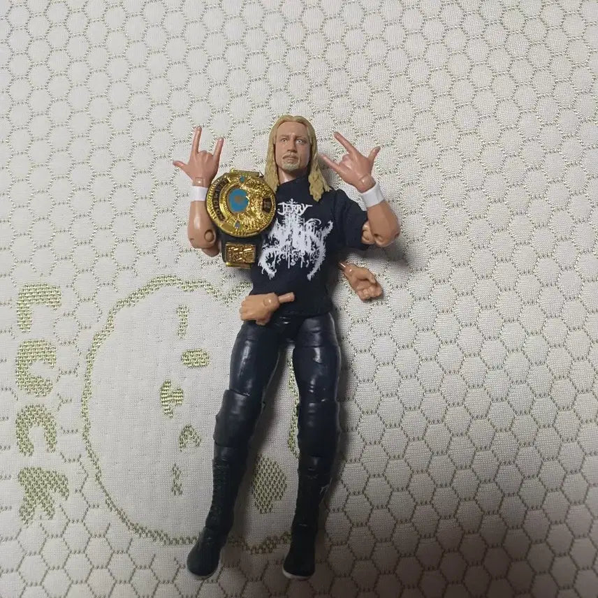 [BUNJANG] Jerry Lynn Pro Wrestler Action Figure / 프로레슬러 제리 린 피규어 팝니다.wwe 피규어