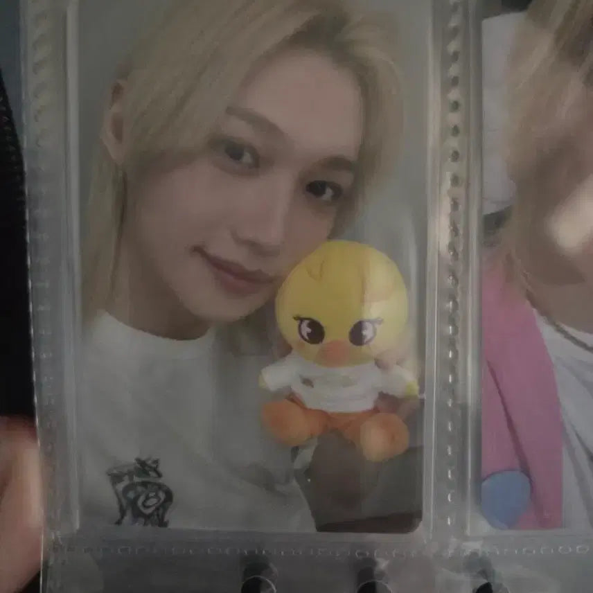 [BUNJANG] Stray Kids Felix Zootopia Popup MD POB Photocard / 스키즈 필릭스 주토피아 팝업 엠디 특전 포카