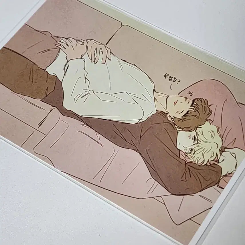 [BUNJANG] Printy 3 Types Bundle Set / [판매] 신품방 신품법 신을품는방법 프린티(프박) 3종 일괄