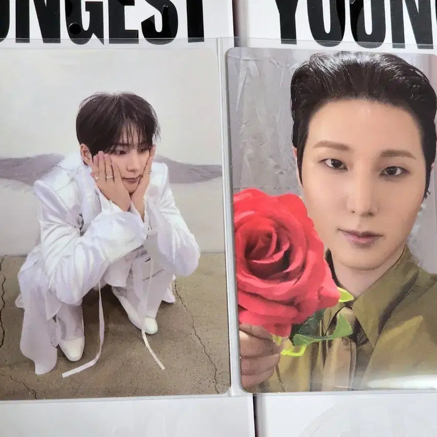 [BUNJANG] Day6 Young K Wallet Photocard Angel Rose Set / 데이식스 영케이 wallet 포카 천사 장미 세트