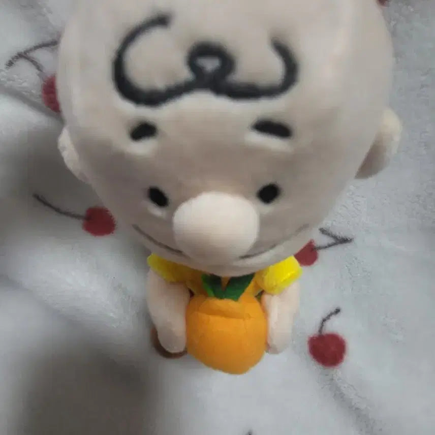 [BUNJANG] Snoopy Jeju Island Limited Edition Plush Doll / 스누피 제주도 한정판 인형