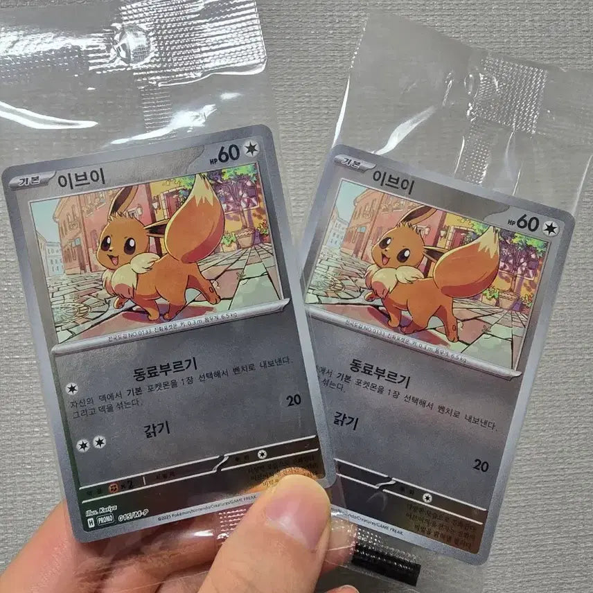[BUNJANG] Pokemon Eevee Promo Card (Sealed) / 포켓몬카드 이브이 프로모 카드 미개봉. 구매시 서비스