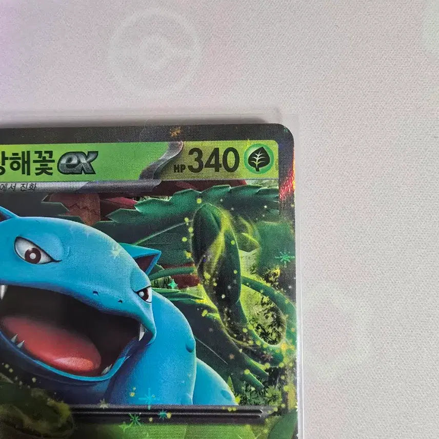 [BUNJANG] Pokemon Card Venusaur ex RR 003/165 Korean Edition / 포켓몬카드 이상해꽃 ex RR 003/165 한글판