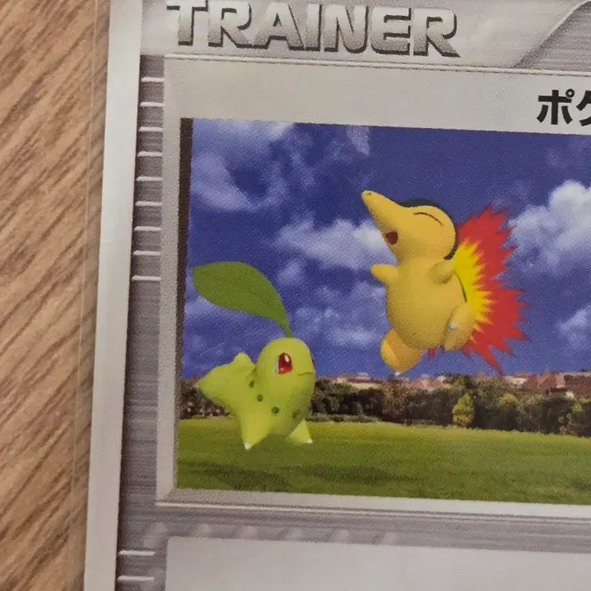 [BUNJANG] Pokemon Park 2005 Japan Promo 010/012 Chikorita Cyndaquil Pikachu Card / [일판/일본판] 빈티지 올드백 포켓몬 카드 포켓몬 파크 010/012 (2005 포케파크 프로모)