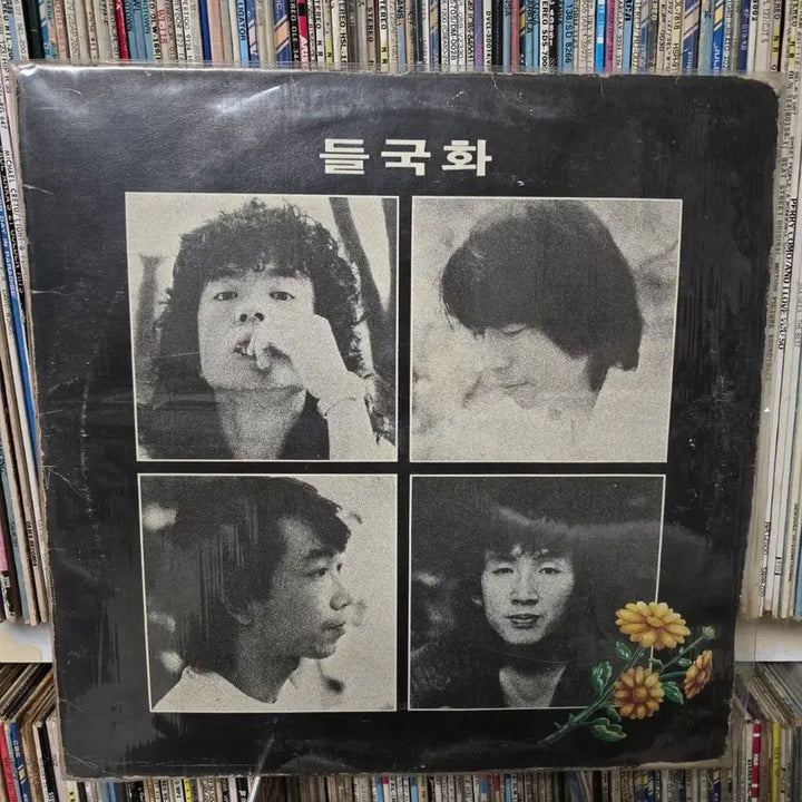 [BUNJANG] Deulgukhwa Haenjin LP Vinyl Record / 들국화 LP판 행진