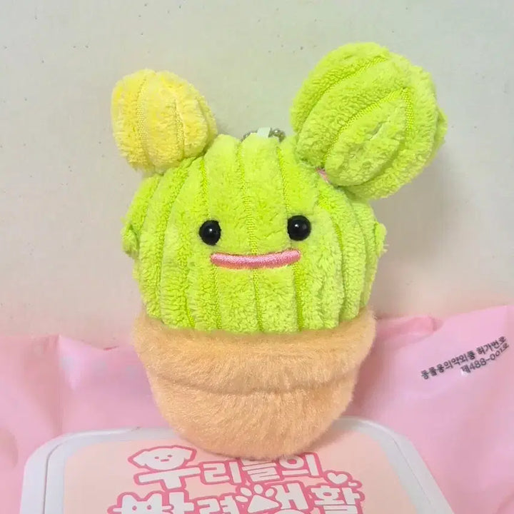 [BUNJANG] Vintage Cactus Character Mascot Plush Keychain / 고전 빈티지 선인장 캐릭터 마스코트 인형 키링