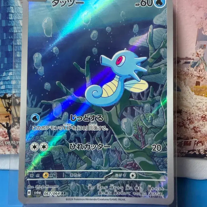 [BUNJANG] Japanese Pokemon Card Seadra AR Album Version / 일판 포켓몬카드 쏘드라 AR 앨범용