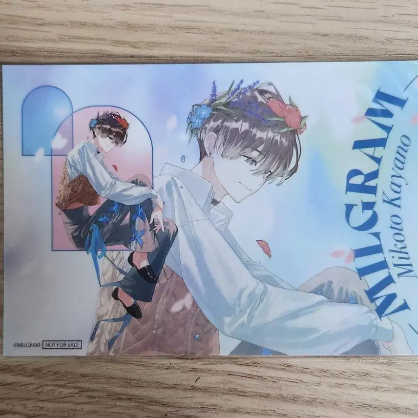 [BUNJANG] Milligram Mikoto Favoteria Postcard / 밀그램 미코토 파보테리아 엽서
