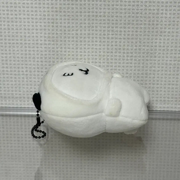 [BUNJANG] Nagano Pug Outfit Pug Bear Plush / 나가노 퍼그옷을 입은 농담곰 퍼그상