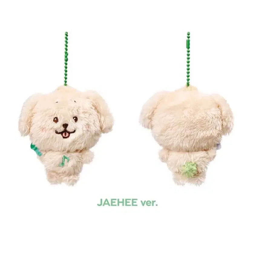 [BUNJANG] Dreamcatcher [Dami] Puppy Wish Doll (Sealed) / 미개봉 현물) 댕트리버 포켓 위시돌