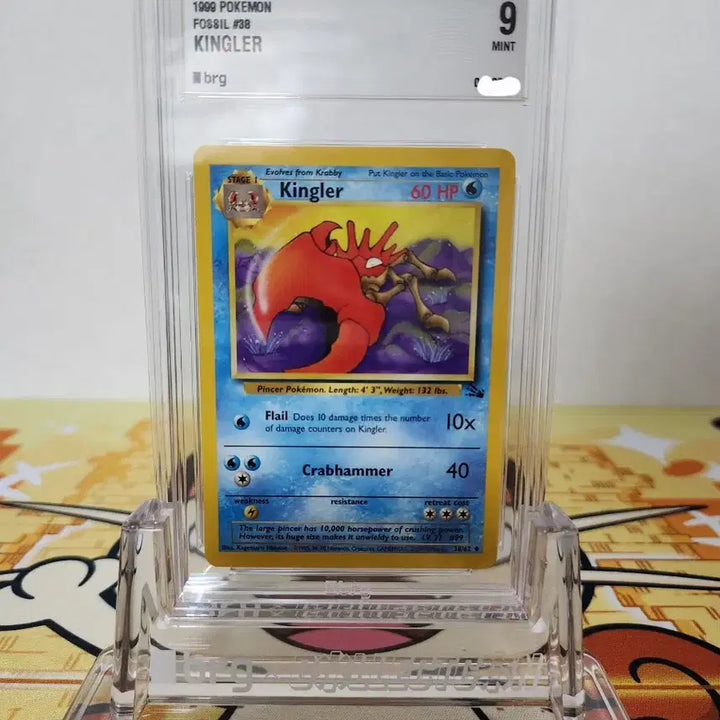 [BUNJANG] Pokemon Card Kingler (1999) BRG 9 / 포켓몬카드 brg9 킹크랩 미판 구뒷면(1999)