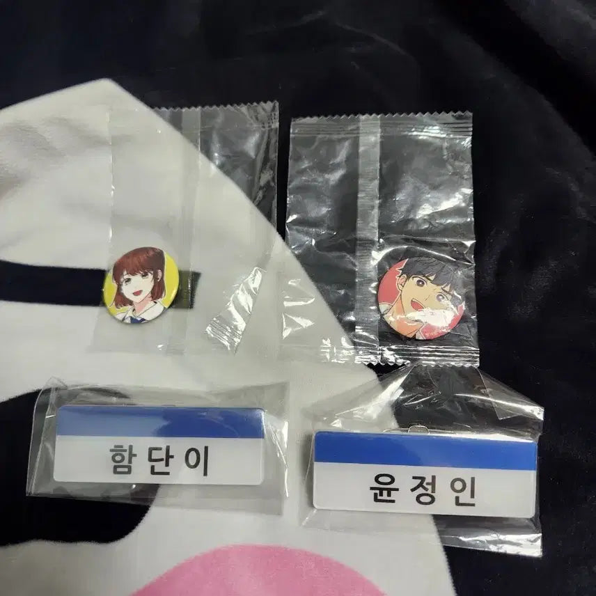[BUNJANG] When the Villainess Loves Hamdani Jung Pin Badge Set / 인소의 법칙 함단이 윤정이 핀뱃지 세트