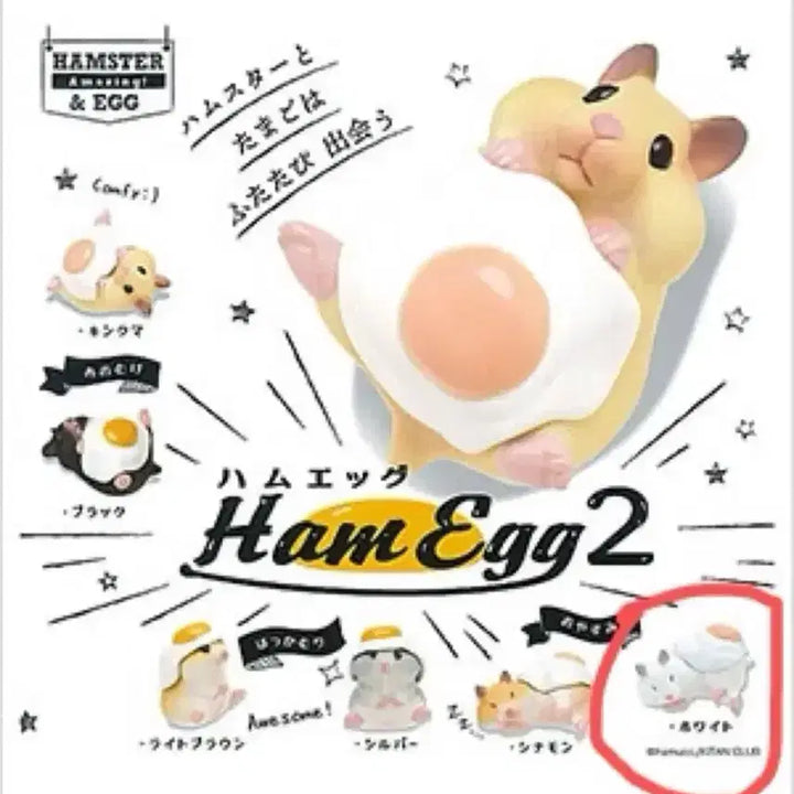 [BUNJANG] Kitan Club Ham EGG 2 Hamster Figure Gacha / 키탄클럽 햄에그 2 햄스터 피규어 가챠